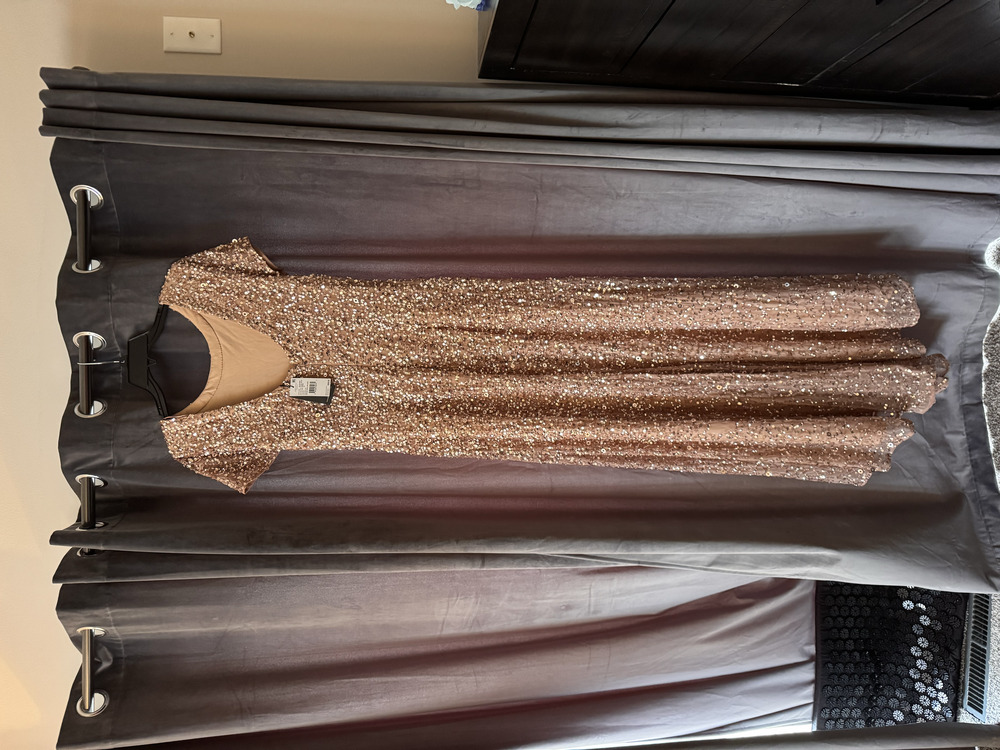 Adrianna Papell gown floor length sequin rose gold NWT - Picture 2 of 3